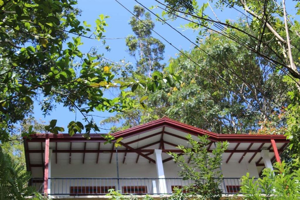 Amado Homestay Ella Exteriör bild